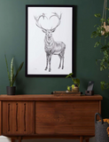 ILLUSTRATION / CHEVREUIL BOIS EN COEUR/ LE NID ATELIER
