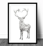 ILLUSTRATION / CHEVREUIL BOIS EN COEUR/ LE NID ATELIER