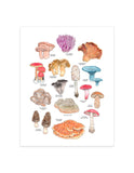AFFICHE LES CHAMPIGNONS - MARIE-ÈVE ARPIN