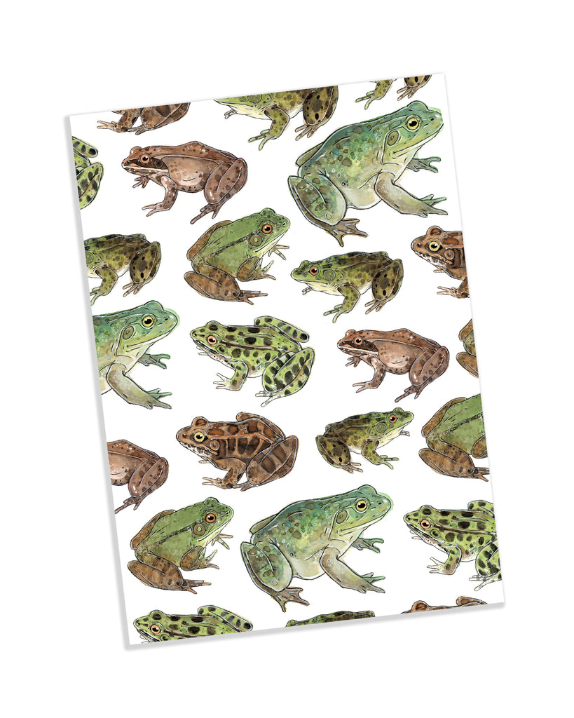 Carnet de Notes - Grenouilles
