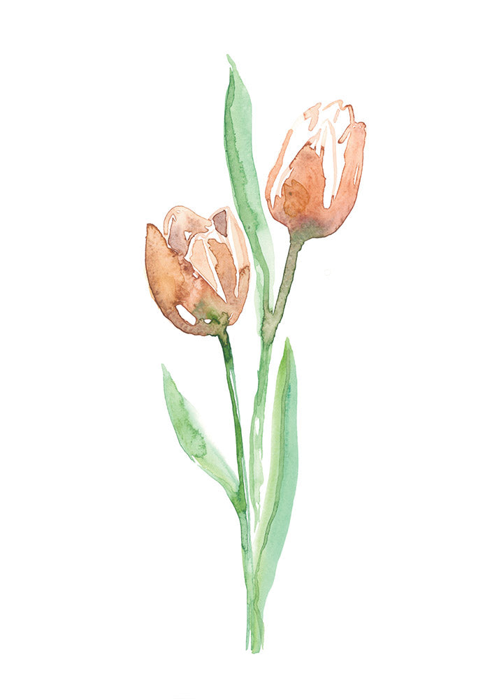 MIRANDA tulipe // STÉPHANIE RENIÈRE