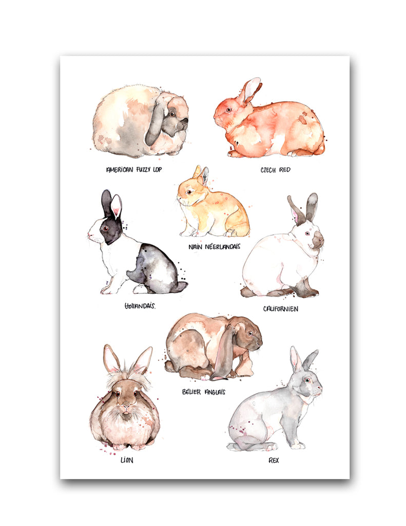 AFFICHE - Les Lapins - MARIE-ÈVE ARPIN