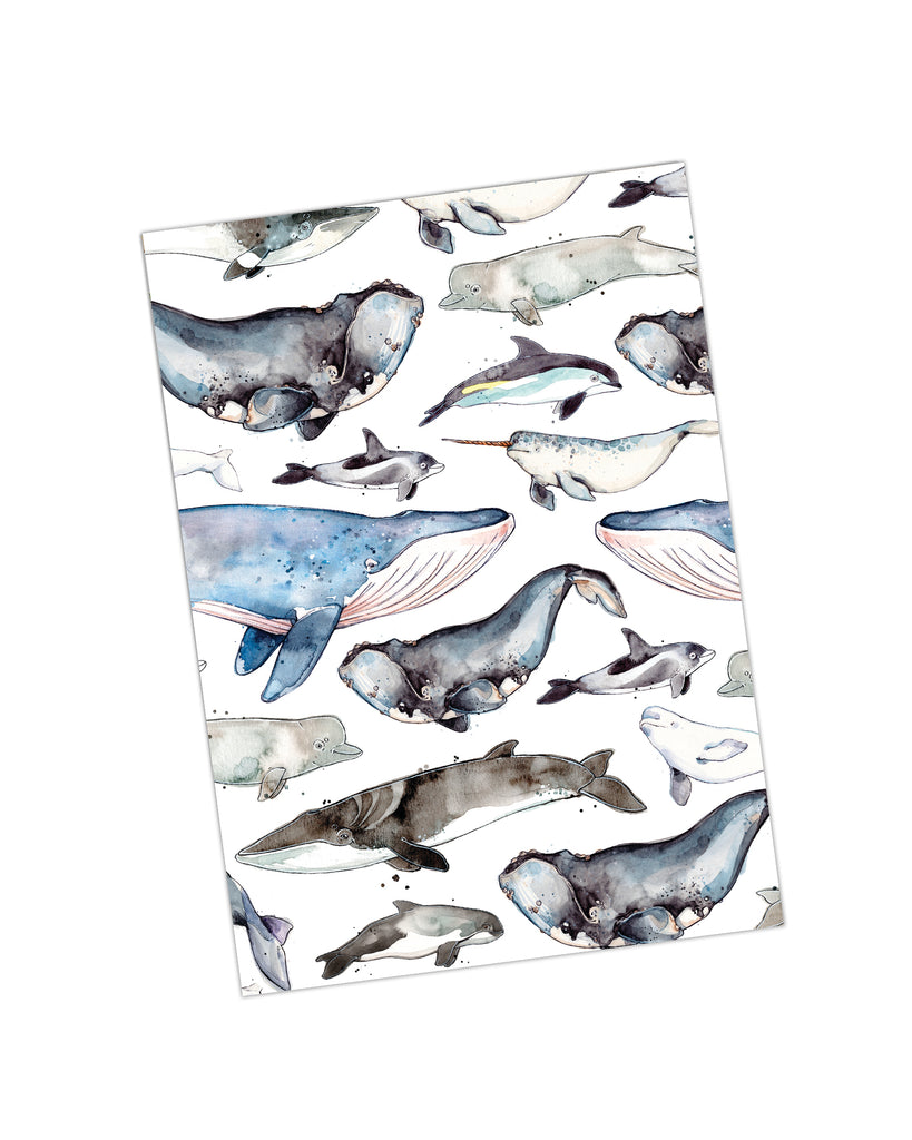 Carnet de Notes - Baleines St-Laurent