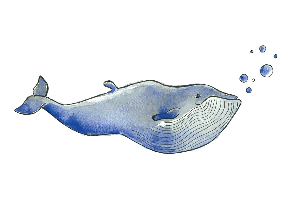 ILLUSTRATION/ HUBERT // STÉPHANIE RENIÈRE