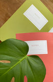 DUO (2) CARNETS DE NOTES / MODÈLE DANAÉ / STÉPHANIE RENIÈRE
