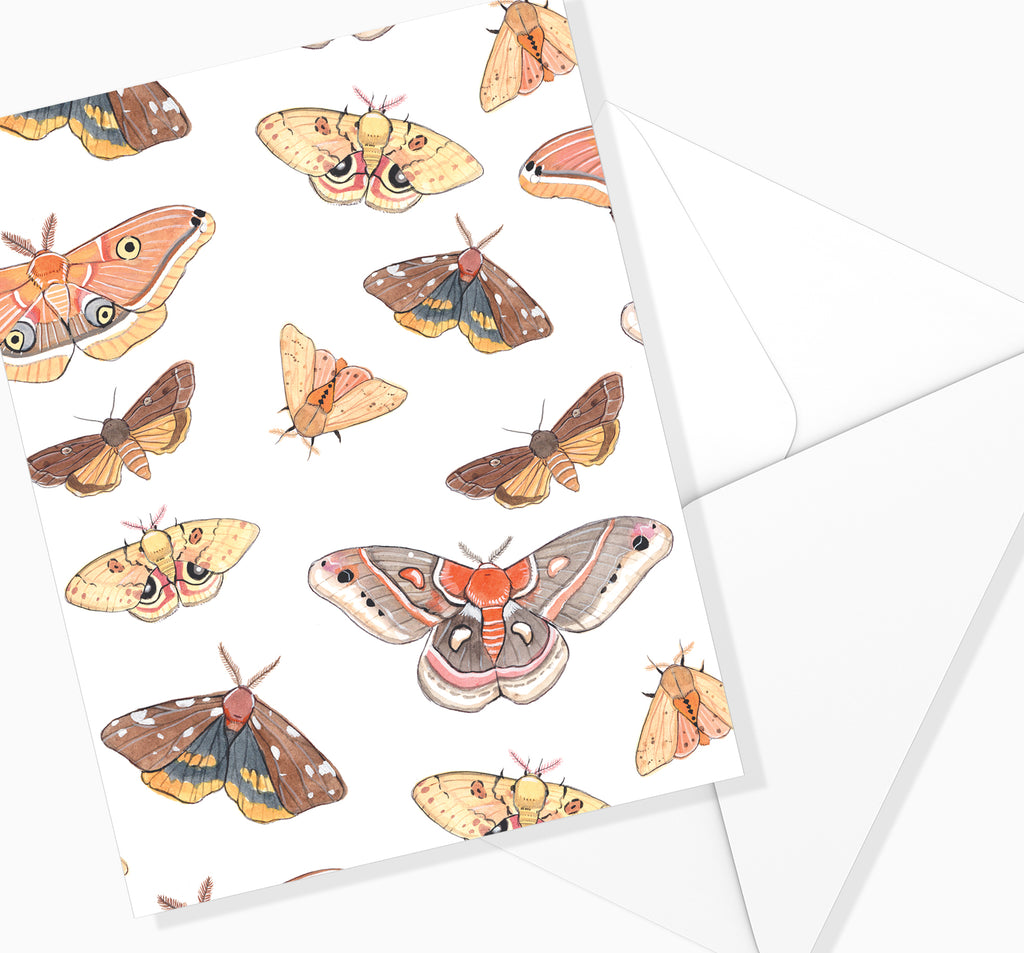 CARTE DE SOUHAIT / Motif de Papillons de Nuit / MARIE-ÈVE ARPIN