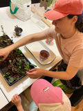 ATELIER Ma jolie plante / collabo avec Rosette ( bien lire la description)