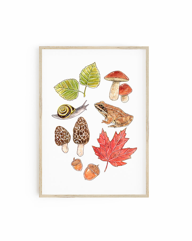 Nature D'AUTOMNE - Affiche - Marie-Ève Arpin