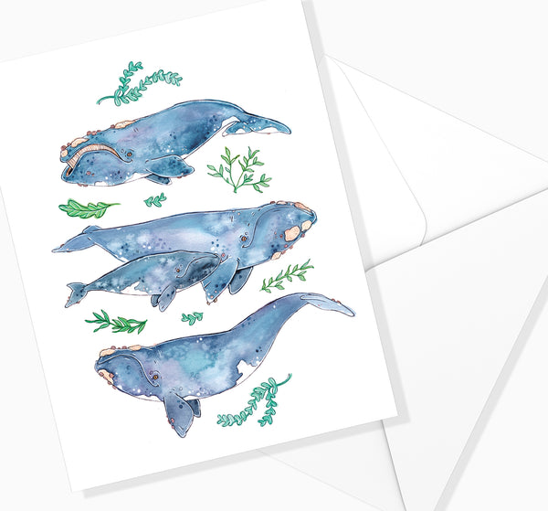 Carte Quatuor Baleines et Algues / MARIE-ÈVE ARPIN