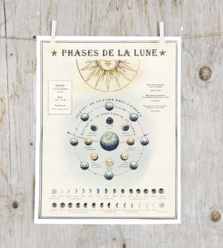 PHASE DE LA LUNE / ILLUSTRATION / MATHILDE CINQ-MARS