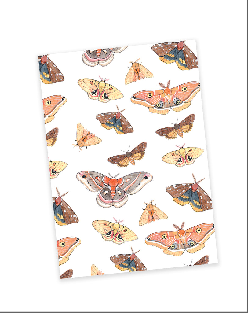 Carnet de Notes - Papillons